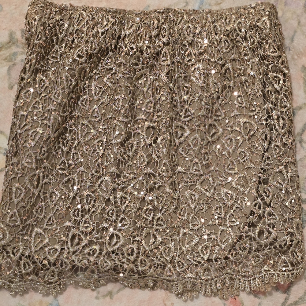 Gold Lace Skirt